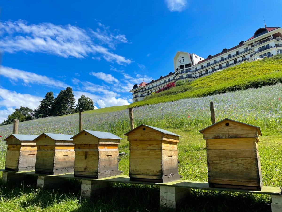 Hotel Royal Evian-les-Bains Ngoại thất bức ảnh